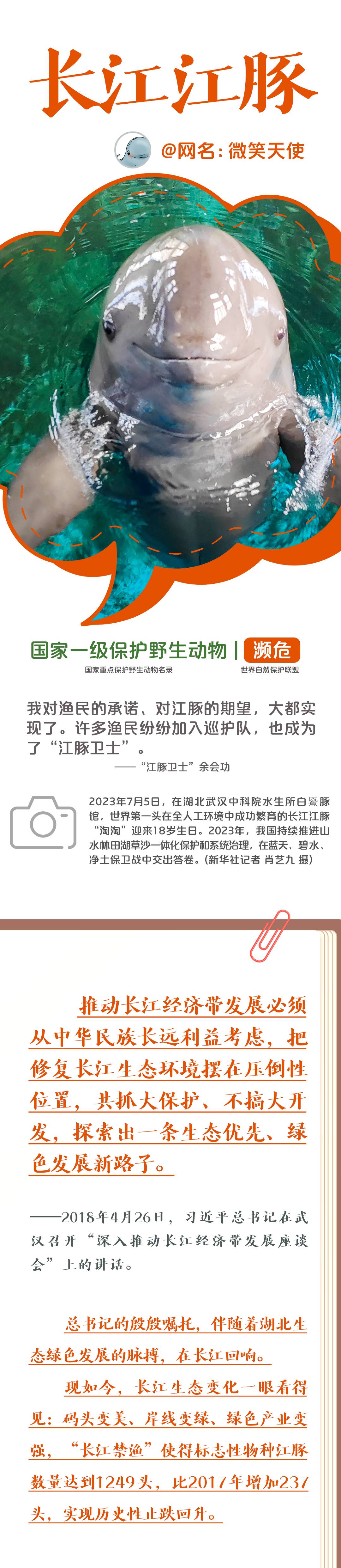 大熊猫的朋友圈,大熊猫朋友圈