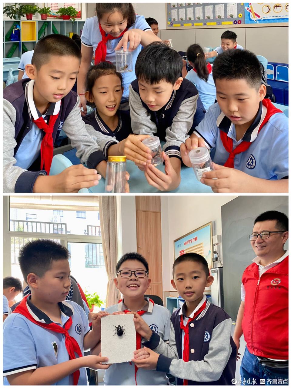 昆虫记专题走进昆虫世界,昆虫科普观世界