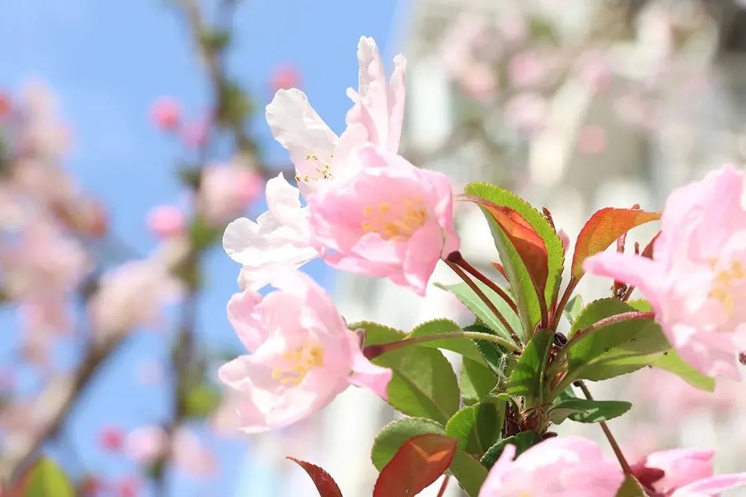 独家宠爱，闵行多处“放价”推女性专享优惠！