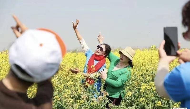 高端黑臭水体治理,清河黑臭水体治理