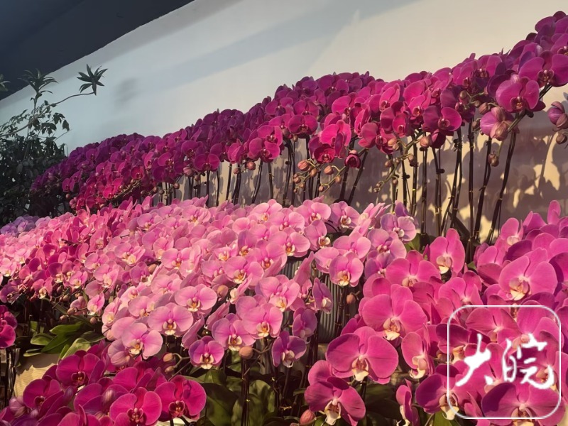 <html>
<head><title>502BadGateway</title></head>
<body>
<center><h1>502BadGateway</h1></center>
<hr><center>nginx</center>
</body>
</html>
<!--apaddingtodisableMSIEandChromefriendlyerrorpage-->
<!--apaddingtodisableMSIEandChromefriendlyerrorpage-->
<!--apaddingtodisableMSIEandChromefriendlyerrorpage-->
<!--apaddingtodisableMSIEandChromefriendlyerrorpage-->
<!--apaddingtodisableMSIEandChromefriendlyerrorpage-->
<!--apaddingtodisableMSIEandChromefriendlyerrorpage-->
