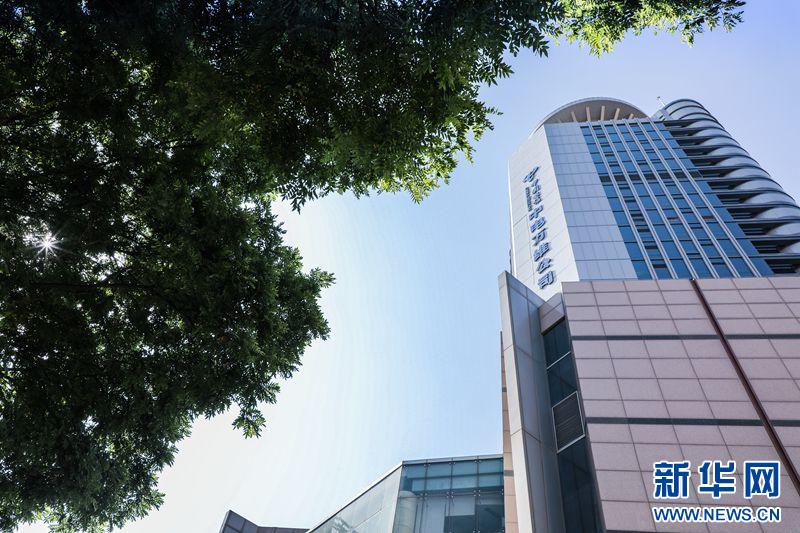 科技赋能长三角数字化转型,科技赋能的蝶变