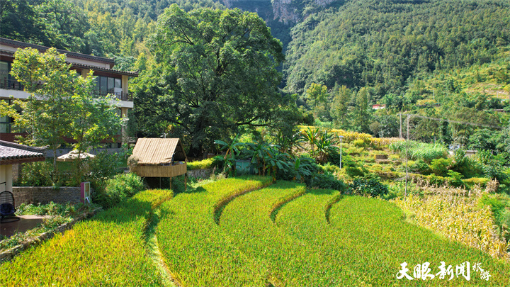 枕山河峡谷野奢度假民宿团购,枕山河峡谷野奢度假民宿温泉