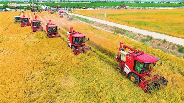 风正扬帆勇往直前,风正扬帆再起航纪录片