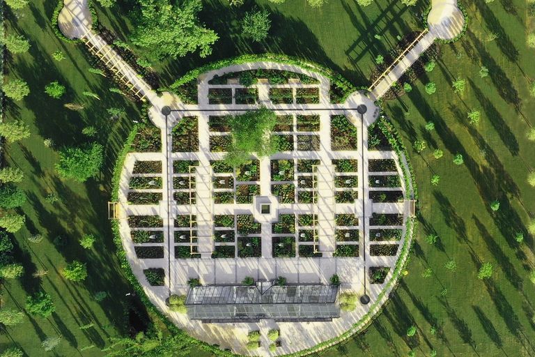 大卫尼斯与施华蔻护发精油哪个好,全球顶级护发品牌