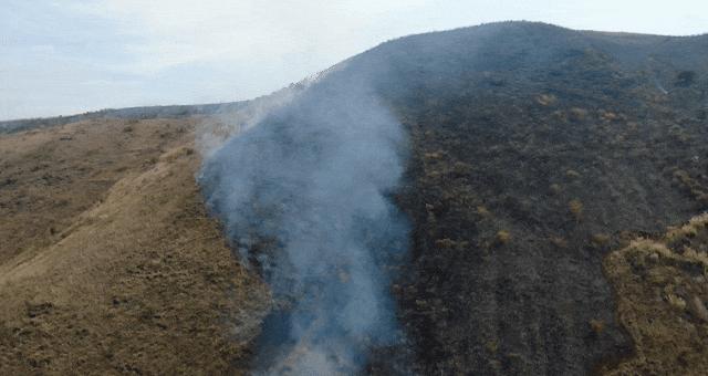 筑牢森林消防安全防火墙,筑牢森林防火安全防线