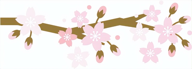 潍坊哪里的樱花最好,潍坊樱花大道在哪里