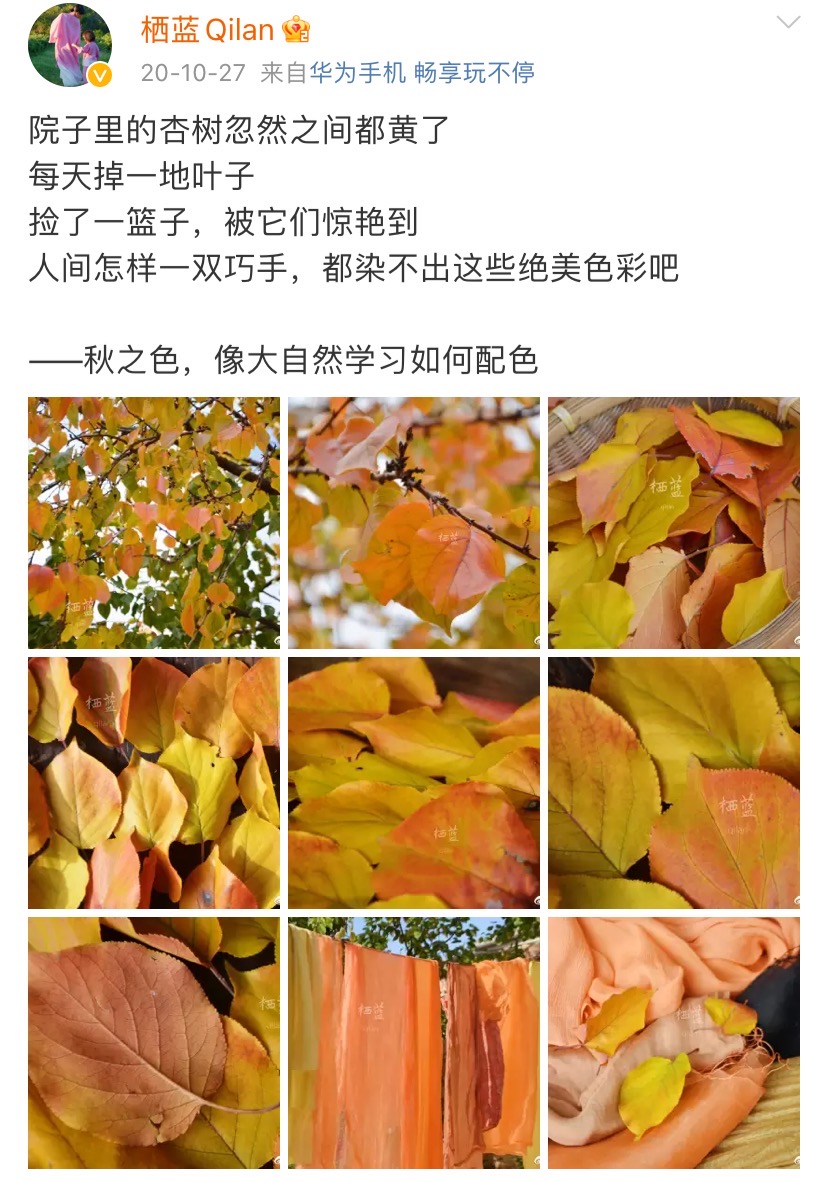 上热搜！取天地间的草木，云南女子将汉服染成了古诗词里的颜色