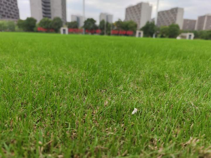 杭州亚运会橄榄球台北,杭州亚运会橄榄球比赛