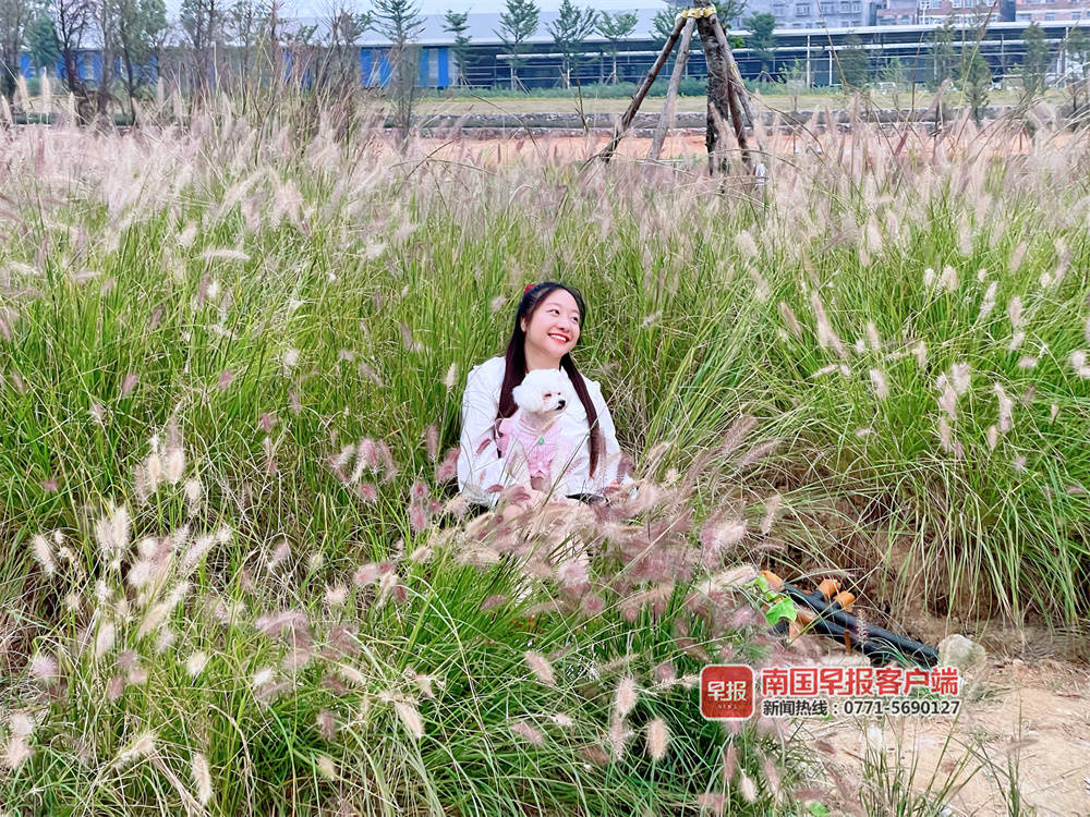 喜看家乡新变化四年级350字,喜看家乡新变化内容