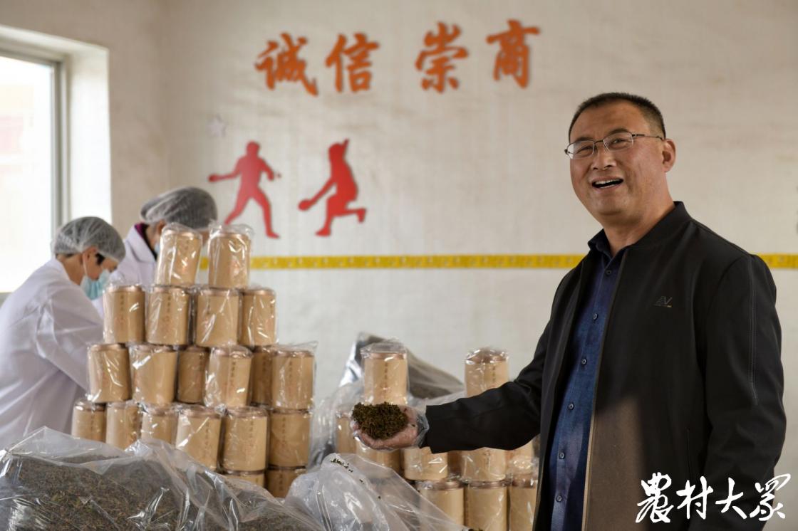 以前没人要、现在不够卖！霜打的桑叶成“宝贝”，一年净赚十多万