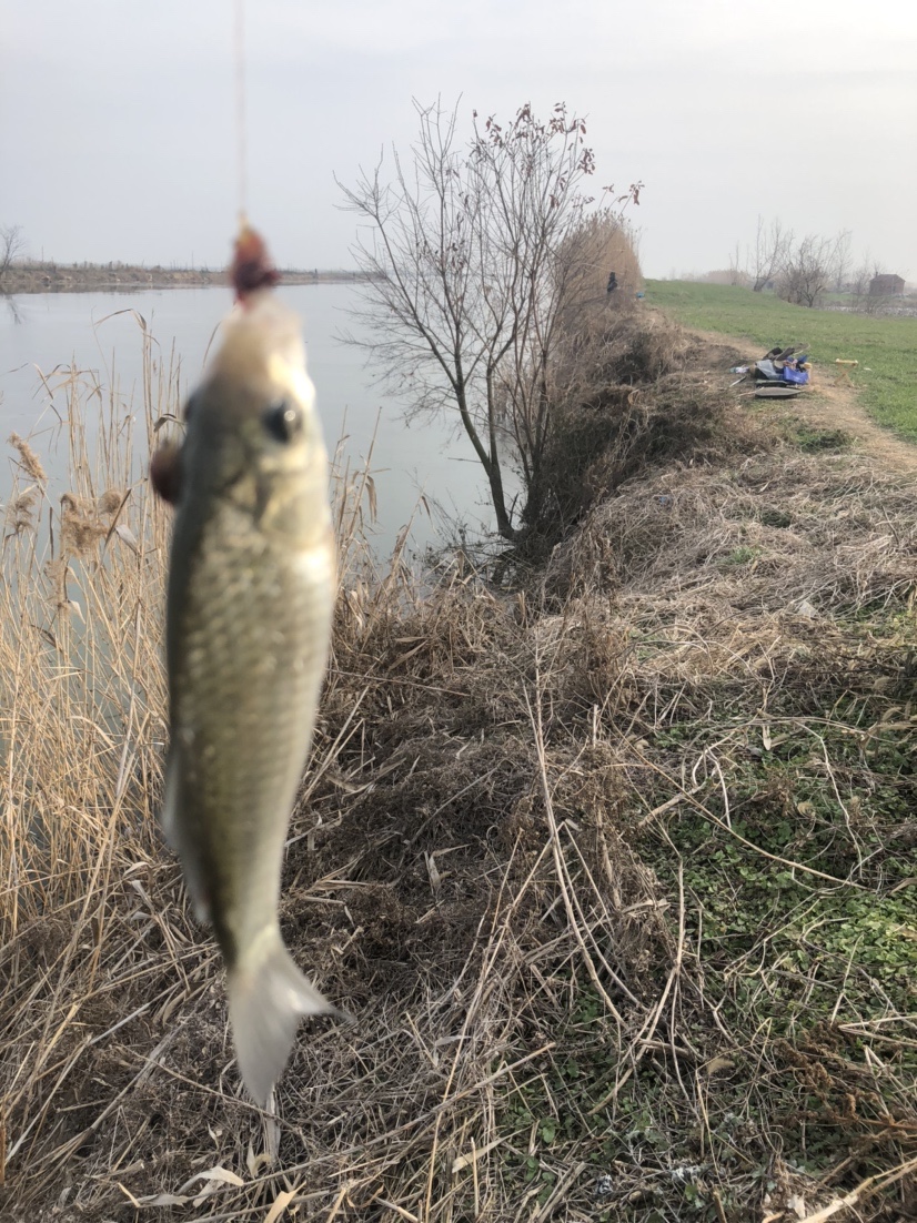 冰钓沉浸式体验,第一次体验冰钓视频