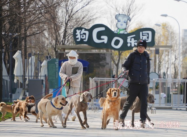 告别“千园一面”秀出“个性风采”