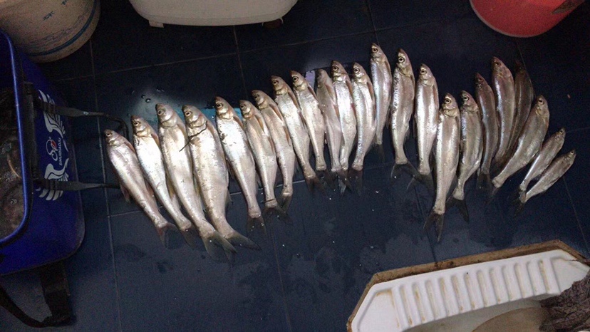 2021打龟爆护同在，未来渔你同行