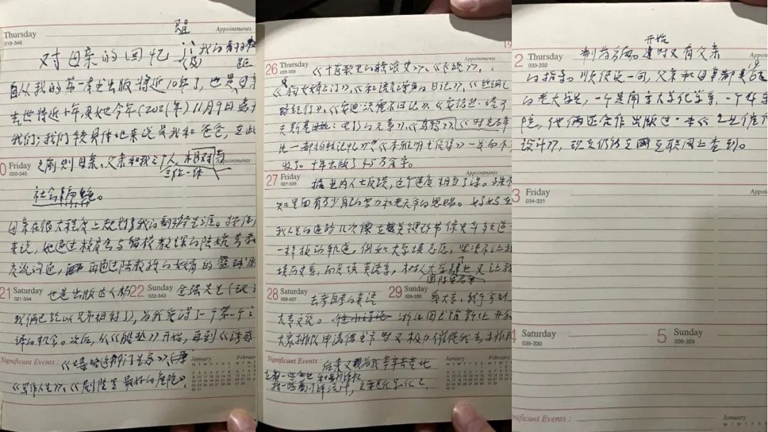 我们不分离新春版,我们不分离免费观看