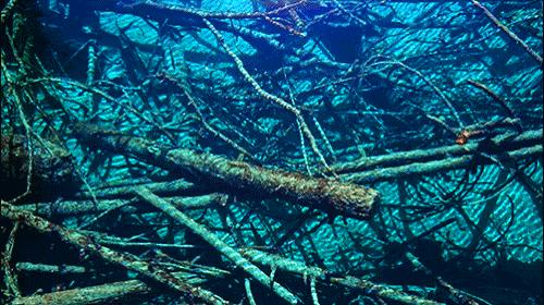 冬日九寨童话世界,九寨沟翠海蓝冰