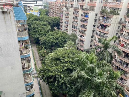 广州跌幅最小的板块,涨声一片