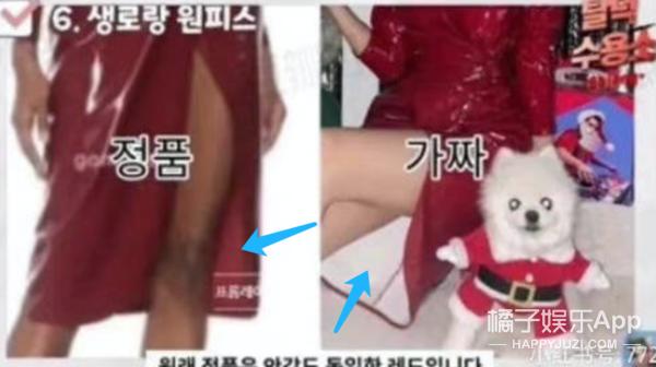 穿搭博主宋智雅,宋智雅金晓钟