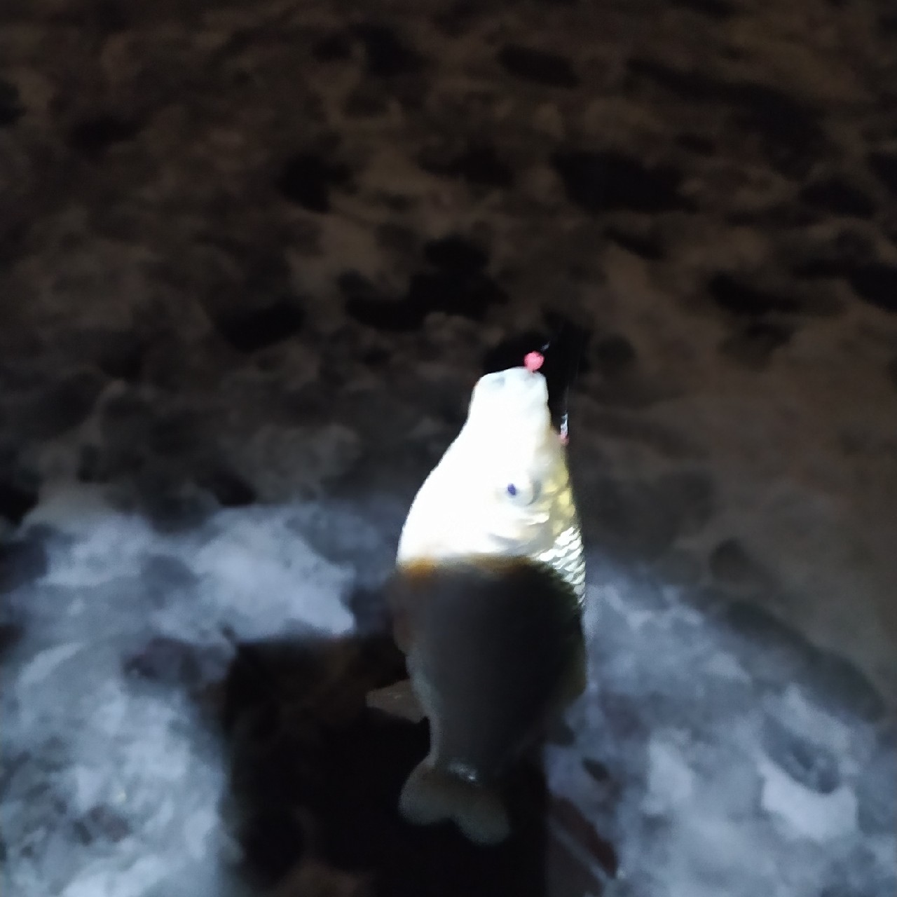 恭喜入坑,恭喜入坑是什么意思