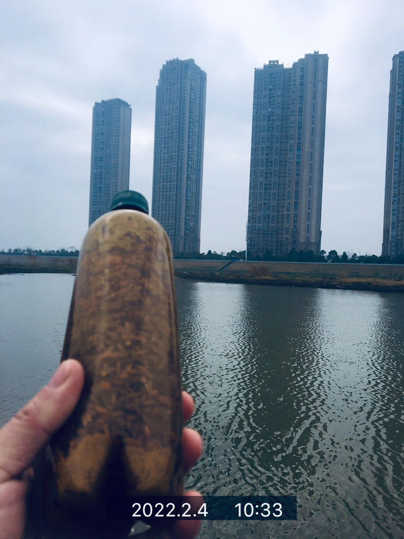 用老婆的菜篮子装新年的第一“金”