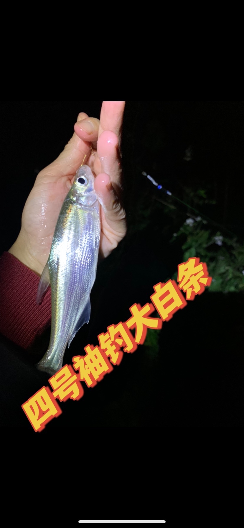 野钓鱼类通杀的鱼钩,夏季野钓用什么鱼钩通杀