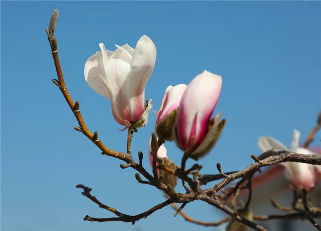 我是如此相信，290万威海人的温暖力量