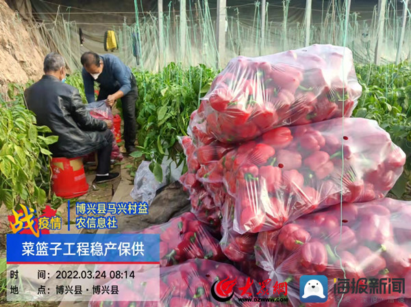 疫情防控期间乡村菜篮子保障,疫情防控期间农村农业工作