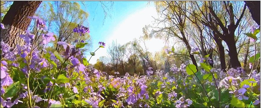 万壑争流，珠玑升腾千百年来，济南这个泉始终静泊着清幽的向往