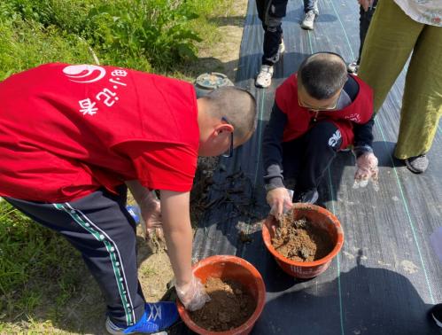 快讯！春来种藕夏赏莲庐山植物园专家教广电小记者种碗莲