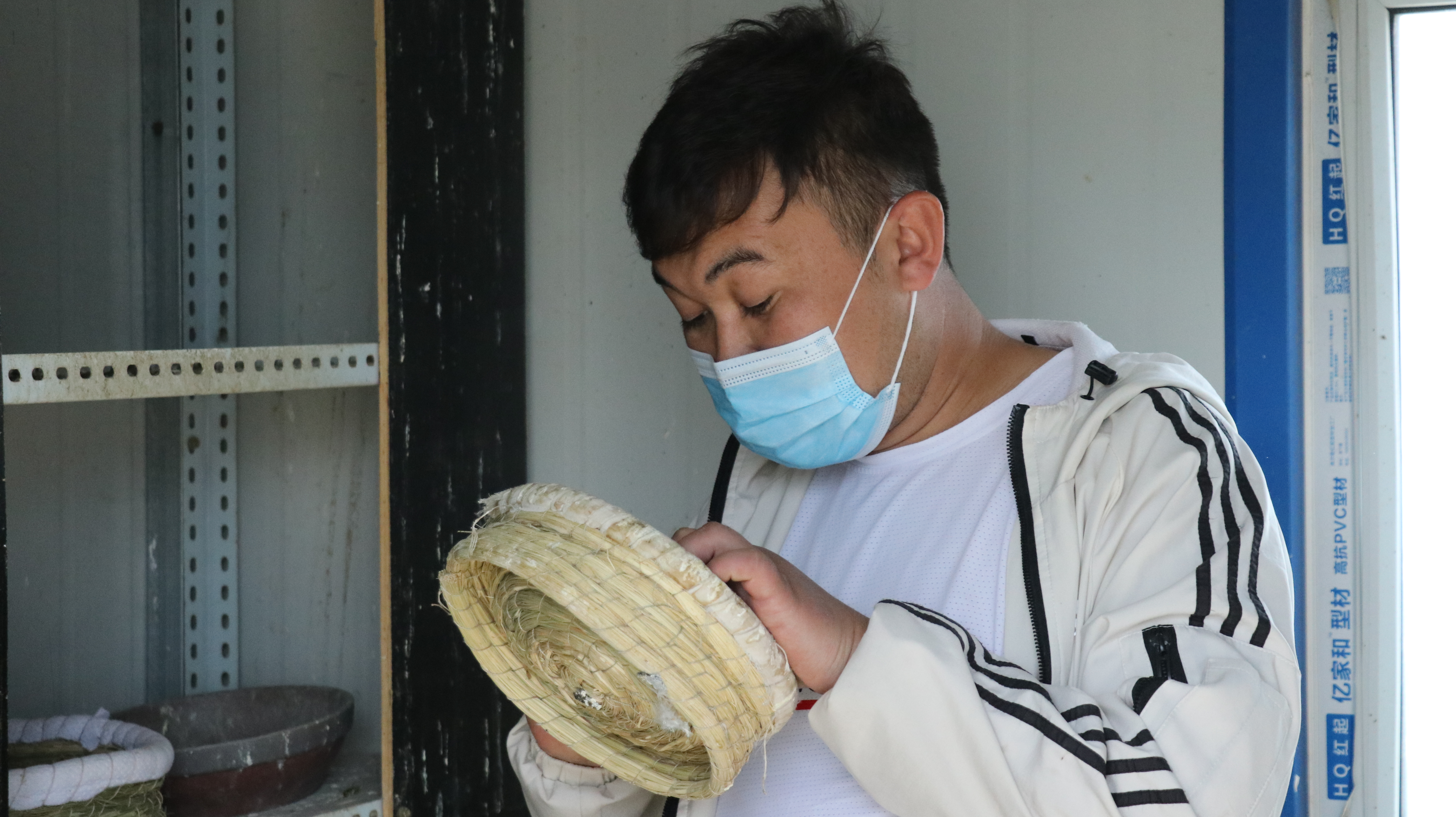 中国最大的观赏鸽养殖基地,观赏鸽养殖场