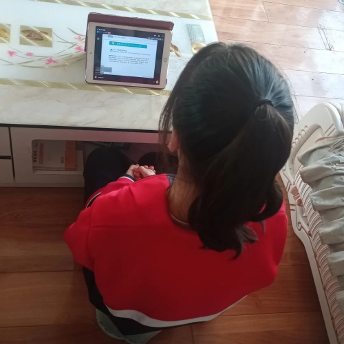 心理健康直播课家校共育,第三期家校共育心理健康专题讲座