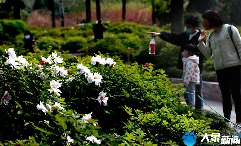 后疫情时代旅游业如何重启,旅游业应该如何应对微度假