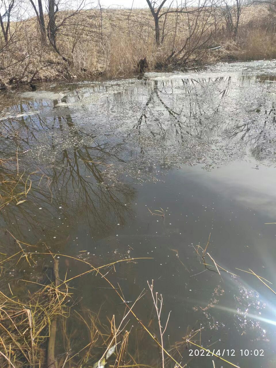 赶个晚潮流完整版,普通野钓罗非超细尾浮漂推荐