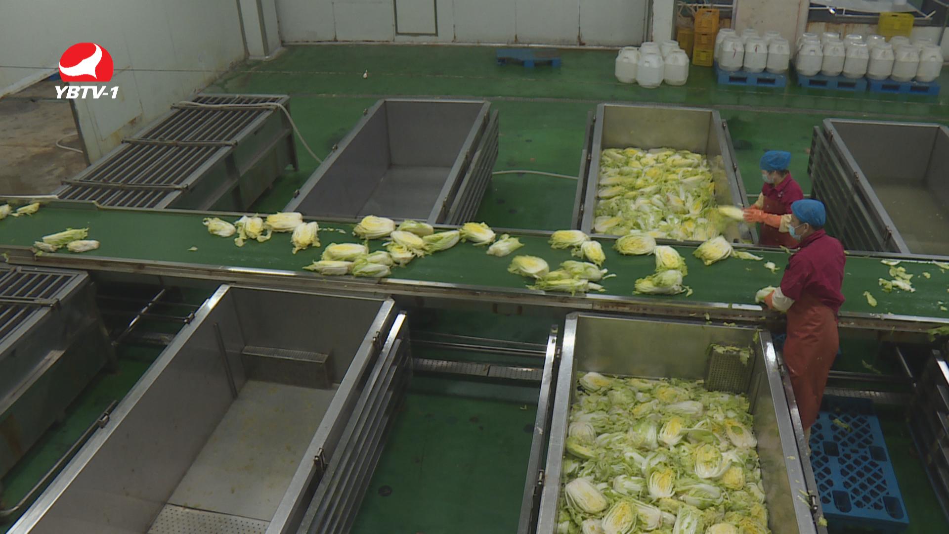 延边基础建设,推动高质量发展吉林