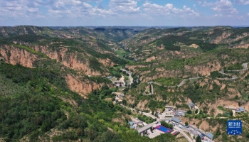 习*平近**的读书故事