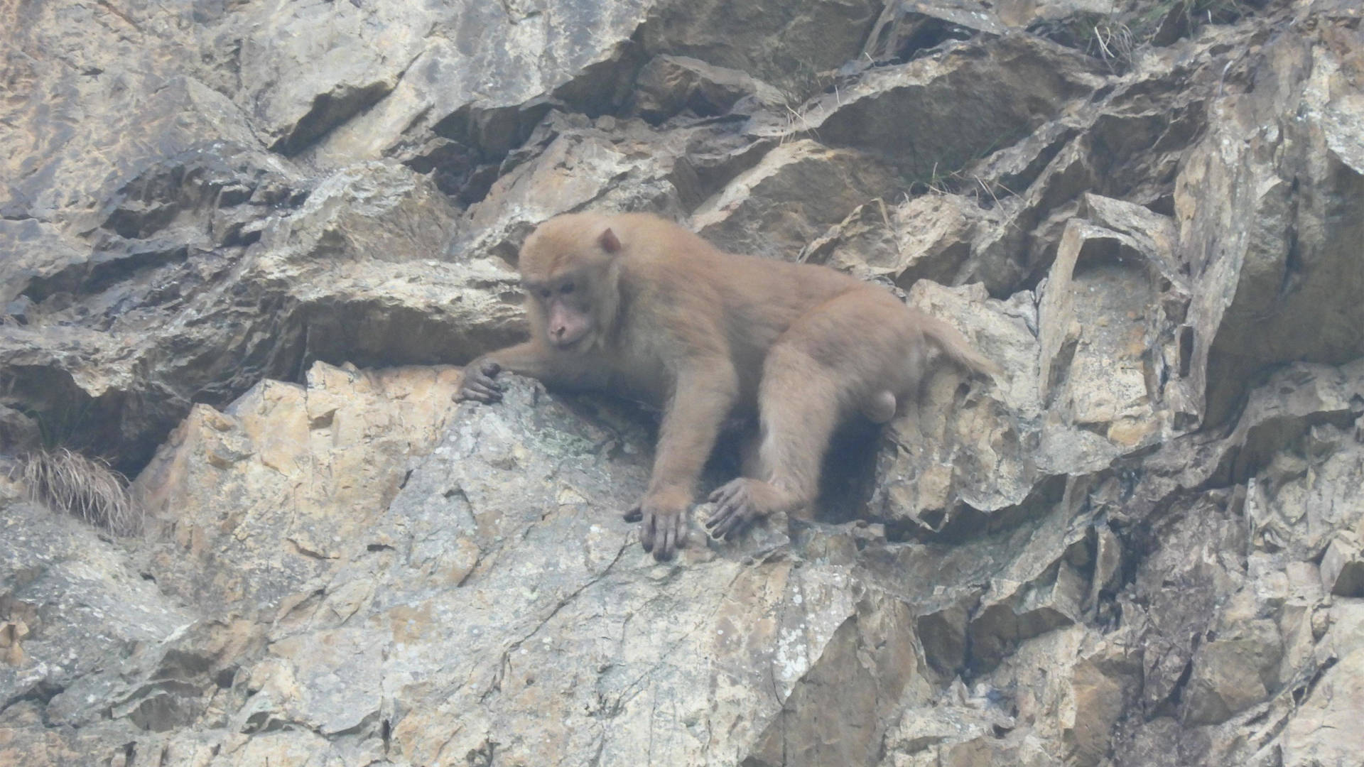 早读七点(2022.5.3)丨孩子交作业费爸妈!南宁不少家长半夜满城跑,就为找这东西