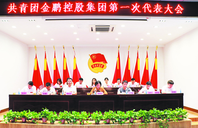 金鹏控股集团直播回放,金鹏控股集团怎么样