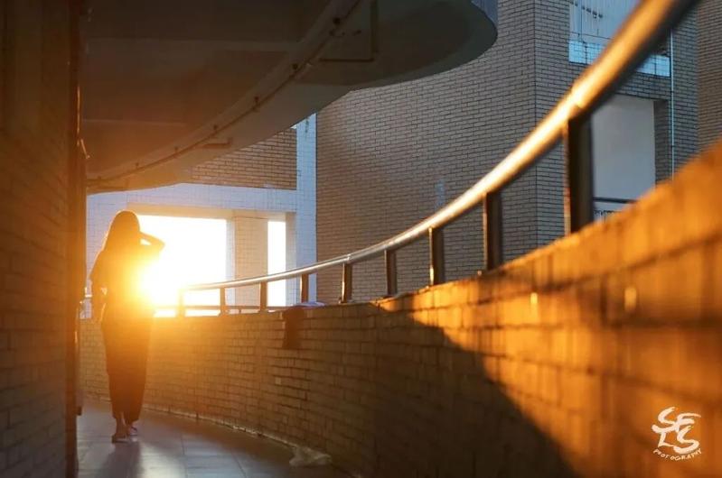 深圳外国语学校高中园预约参观,广东深圳新外国语学校