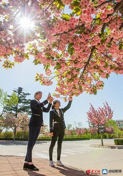 山东工业技师学院校园,山东工业技师学院奎文校区