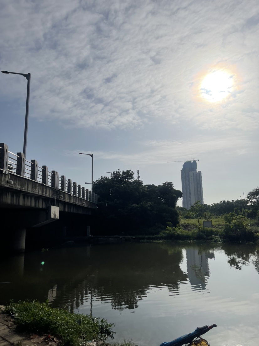 「518」小罗非垂竿自上，清道夫碳烤“美味”眼泪流