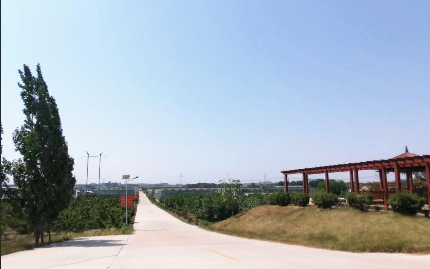 从空壳村到亿元村,从空心到振兴的蝶变之源