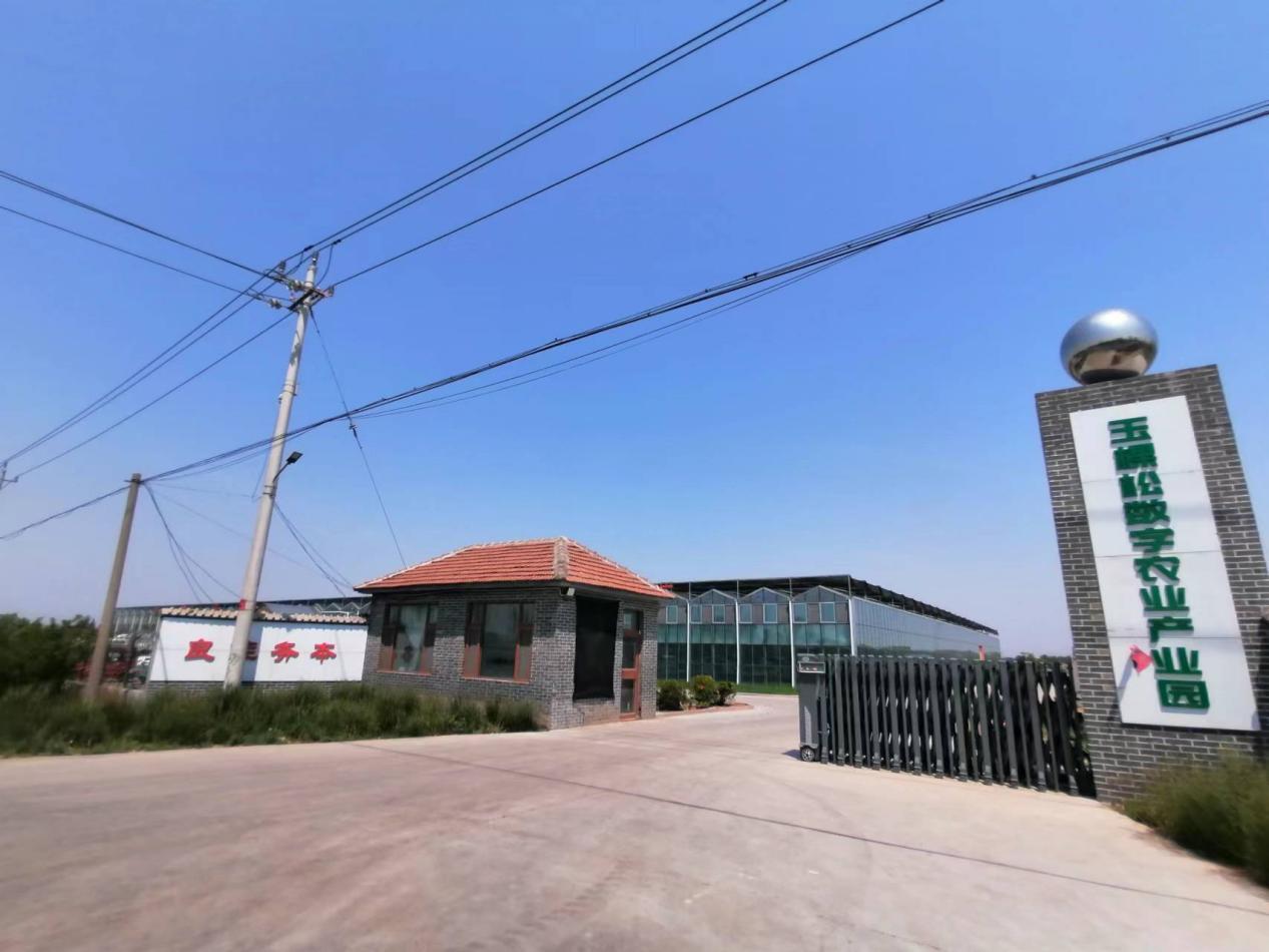 从空壳村到亿元村,从空心到振兴的蝶变之源