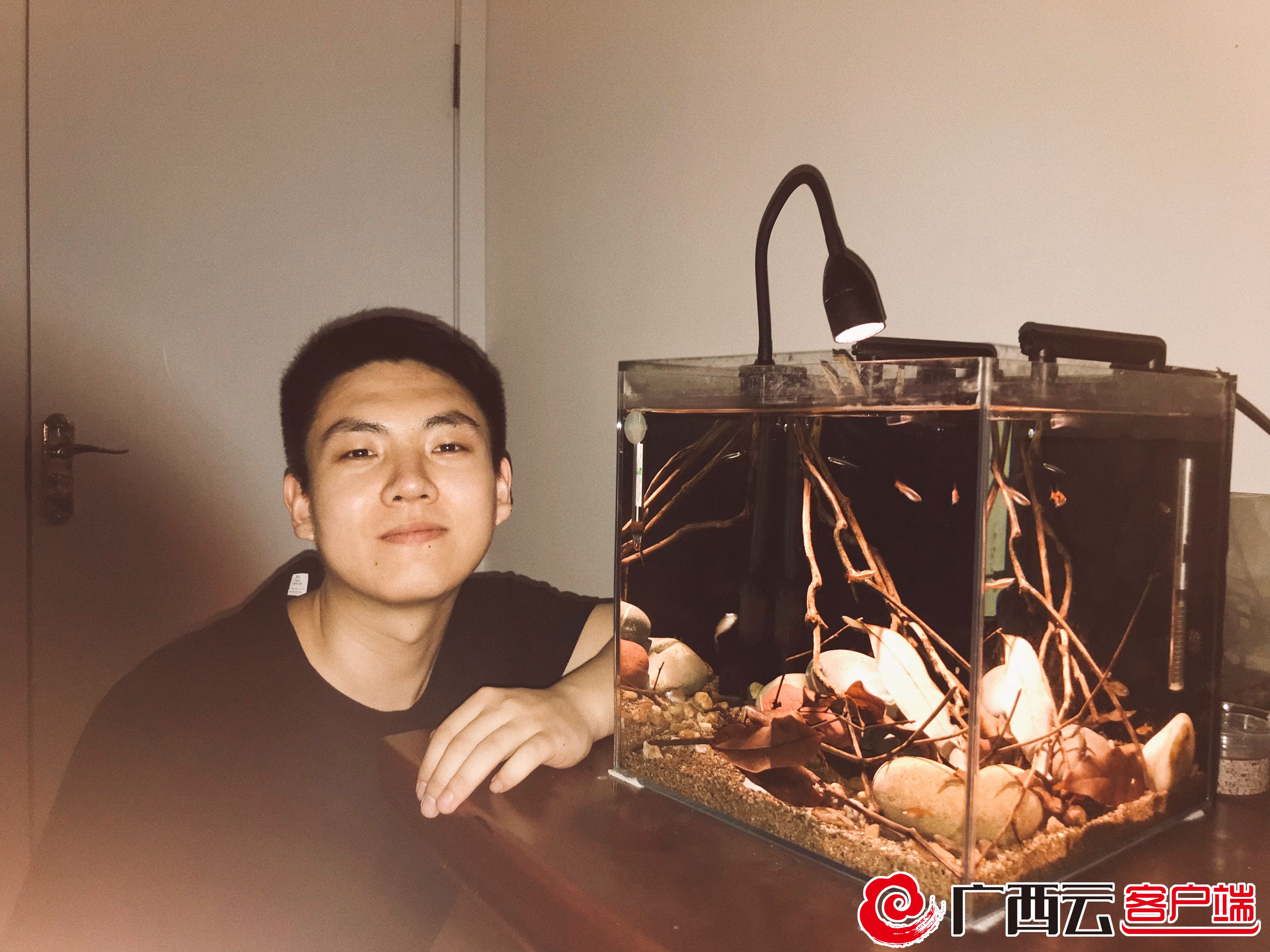 养猫年轻人越来越多了,养狗养猫养鱼