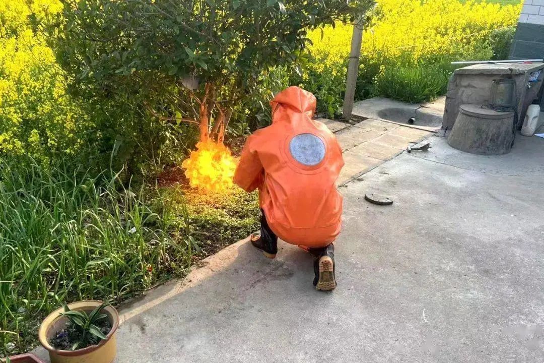 遇到马蜂蜇人怎么自救,遇到马蜂自救办法