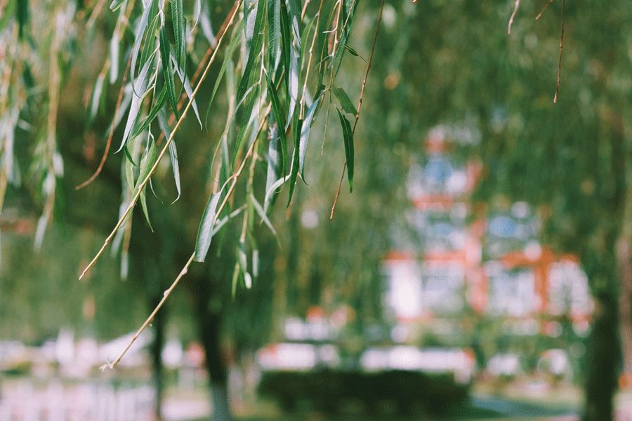 不是老歌好听只是回忆,不是老歌多好听而是我们不年轻