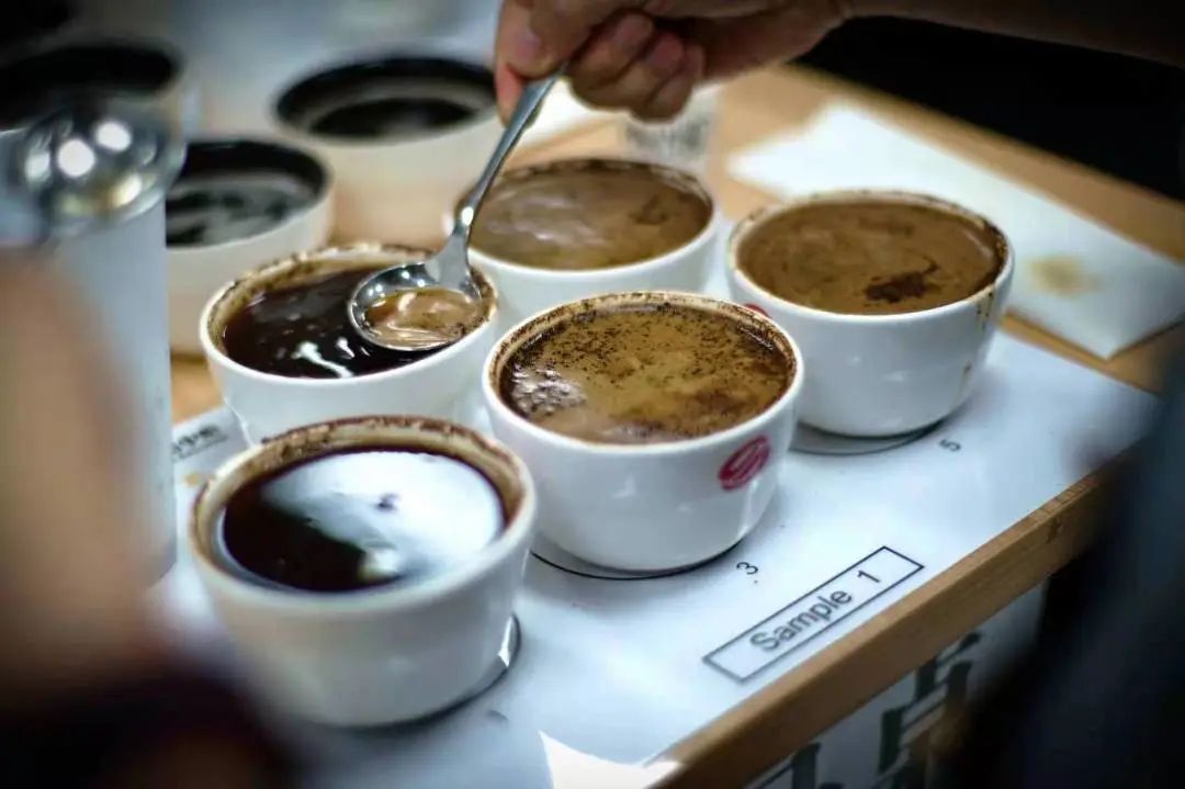 中国咖啡生豆大赛有哪些,2024云南咖啡生豆大赛