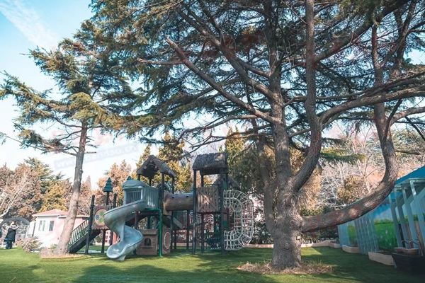 楂樿川閲忕殑鍥湰鏁欏鐮斾慨娲诲姩,浼樿川鍥湰璇剧▼