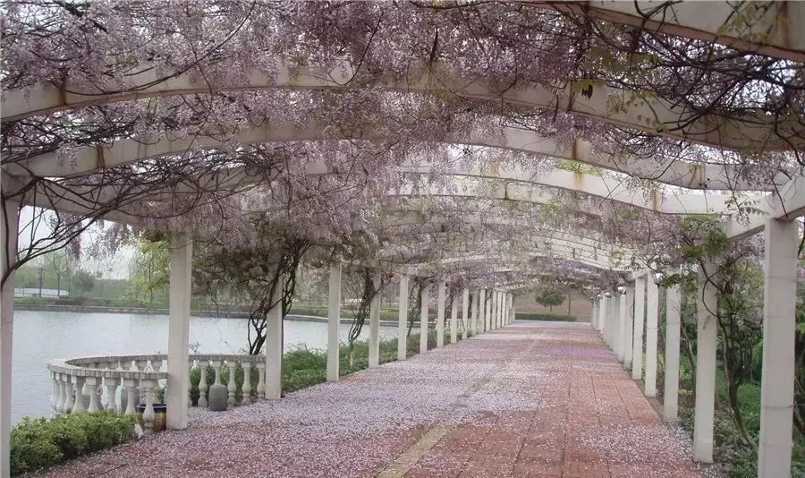 高薪养老行业骗局,高端养老是骗局吗