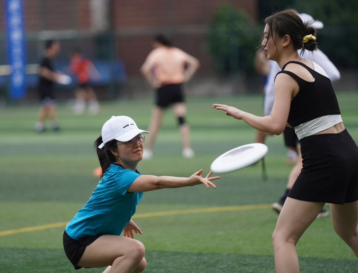 飞盘的争议,飞盘争议球