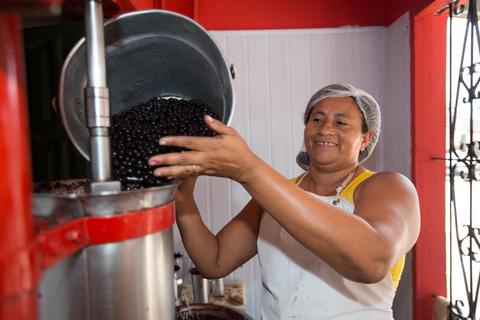 巴西阿萨伊果粉,巴西阿萨伊冰淇淋